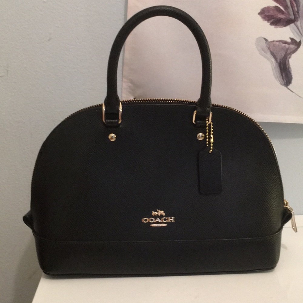 Coach Mini Sierra Satchel